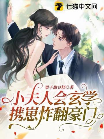 小夫人是什么意思